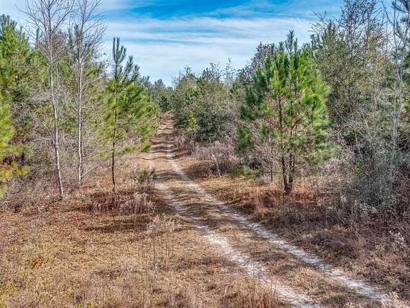 40 Acres of Recreational Land & Farm for Sale in Crawfordville, Florida