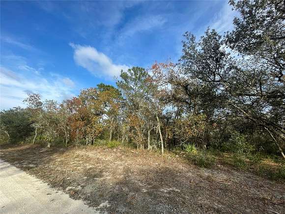 1.16 Acres of Residential Land for Sale in Webster, Florida