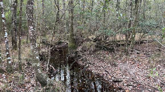 146 Acres of Recreational Land for Sale in Perkinston, Mississippi