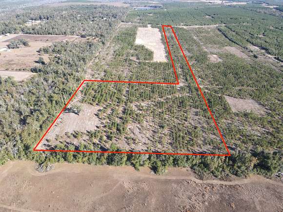 10.9 Acres of Recreational Land for Sale in Altha, Florida