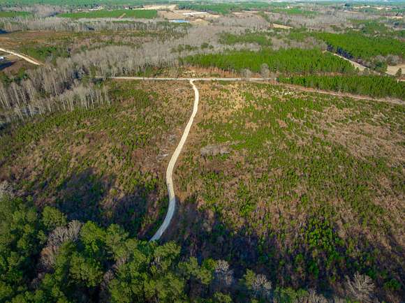 41.9 Acres of Recreational Land & Farm for Sale in Patrick, South Carolina