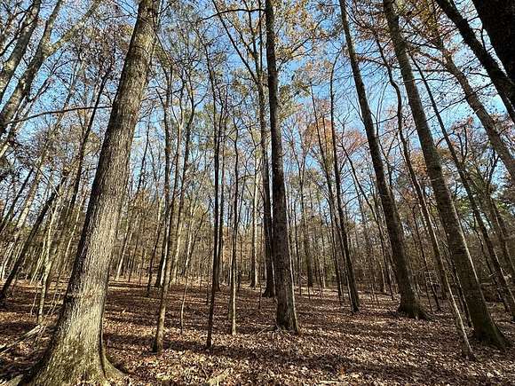 255 Acres of Recreational Land for Sale in Terry, Mississippi