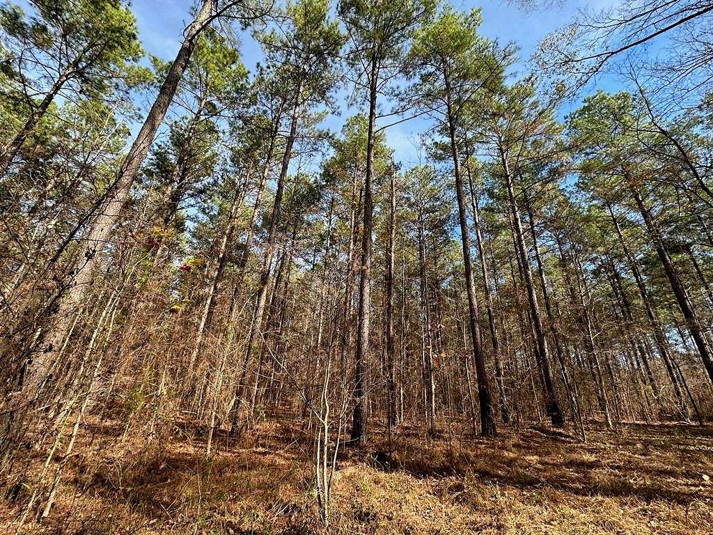 73 Acres of Recreational Land for Sale in Terry, Mississippi