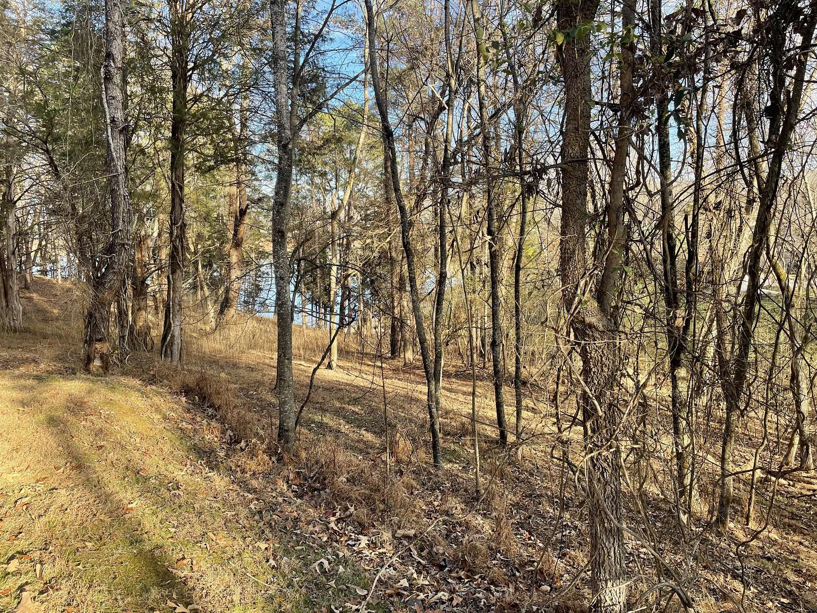 0.8 Acres of Residential Land for Sale in Mooresburg, Tennessee