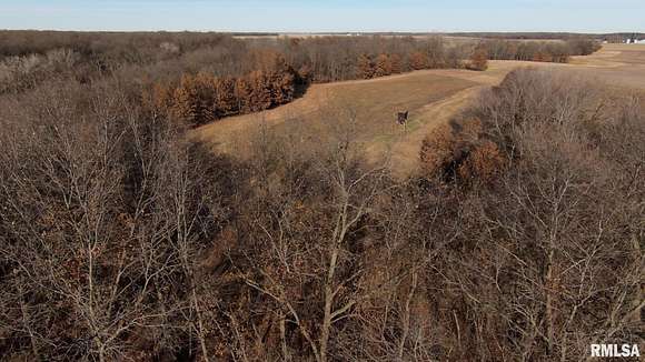 80 Acres of Recreational Land & Farm for Sale in Hettick, Illinois