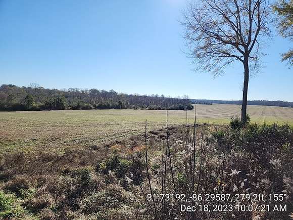 401 Acres of Agricultural Land for Sale in Rutledge, Alabama