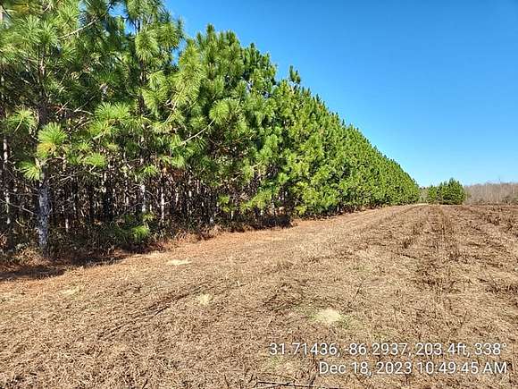 401 Acres of Agricultural Land for Sale in Rutledge, Alabama - LandSearch