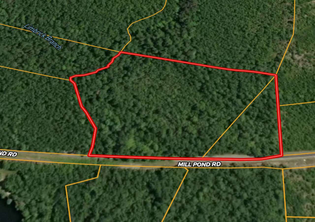 11.2 Acres of Recreational Land for Sale in Galivants Ferry, South Carolina