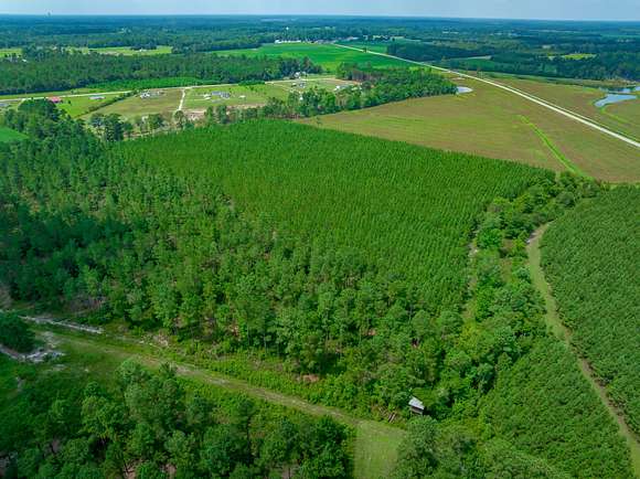 104 Acres of Recreational Land for Sale in Aynor, South Carolina