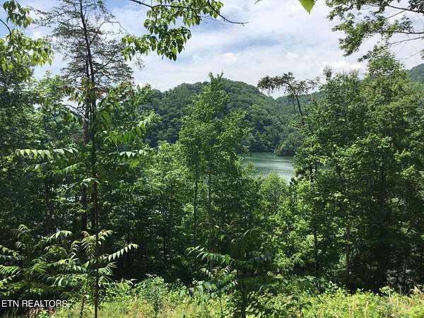 3 Acres of Land for Sale in New Tazewell, Tennessee