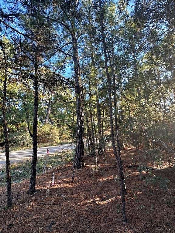0.52 Acres of Residential Land for Sale in Bastrop, Texas