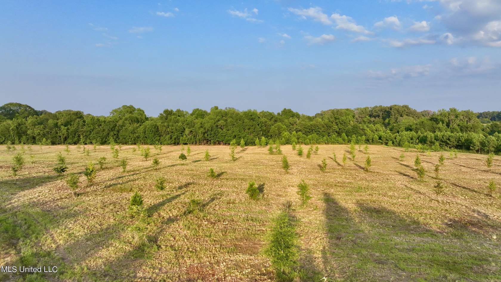 14 Acres of Land for Sale in Madison, Mississippi