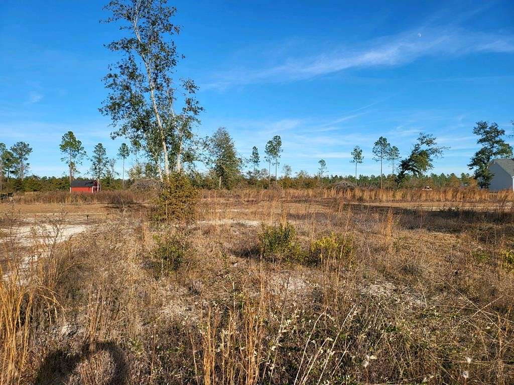 3 Acres of Residential Land for Sale in Lakeland, Georgia