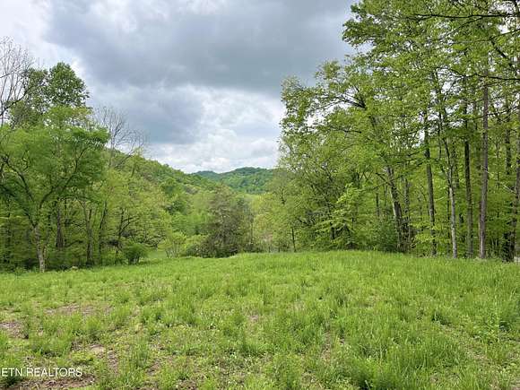 22 Acres of Land for Sale in Tazewell, Tennessee