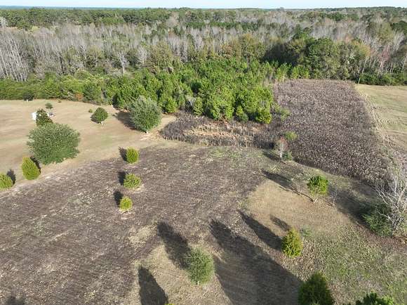 10 Acres of Recreational Land for Sale in Sumrall, Mississippi