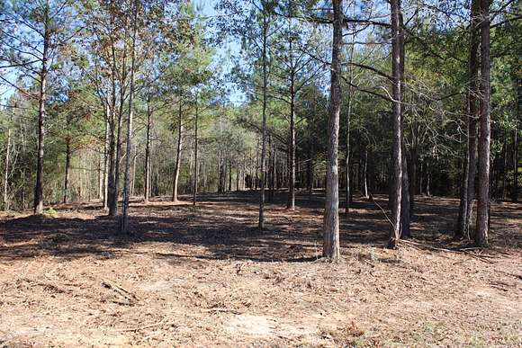 12 Acres of Recreational Land for Sale in Sumrall, Mississippi
