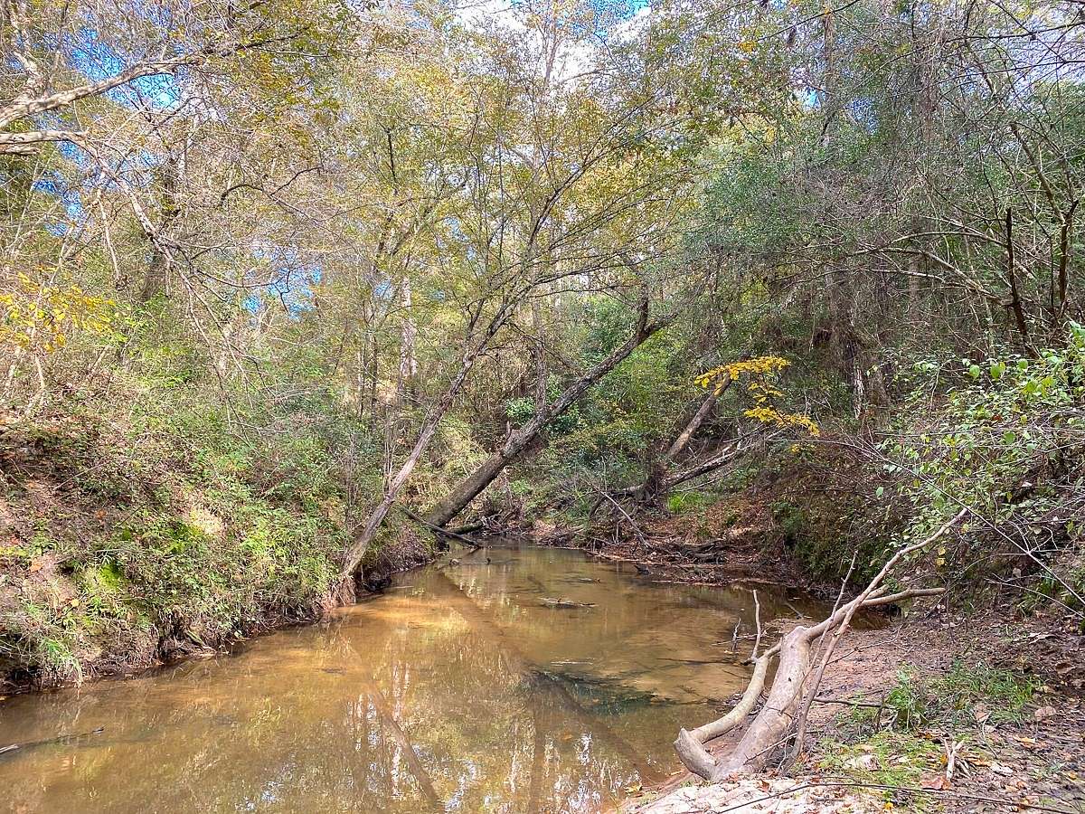 2.87 Acres of Land for Sale in Shepherd, Texas