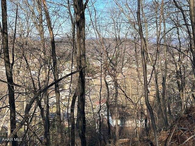 0.73 Acres of Residential Land for Sale in Bedford, Pennsylvania