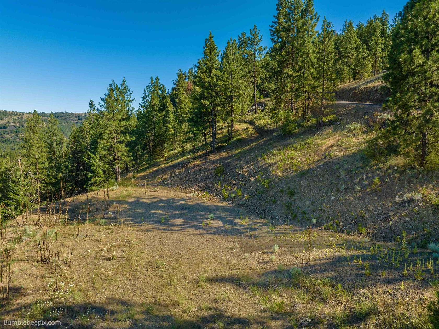 11.9 Acres of Land for Sale in Davenport, Washington