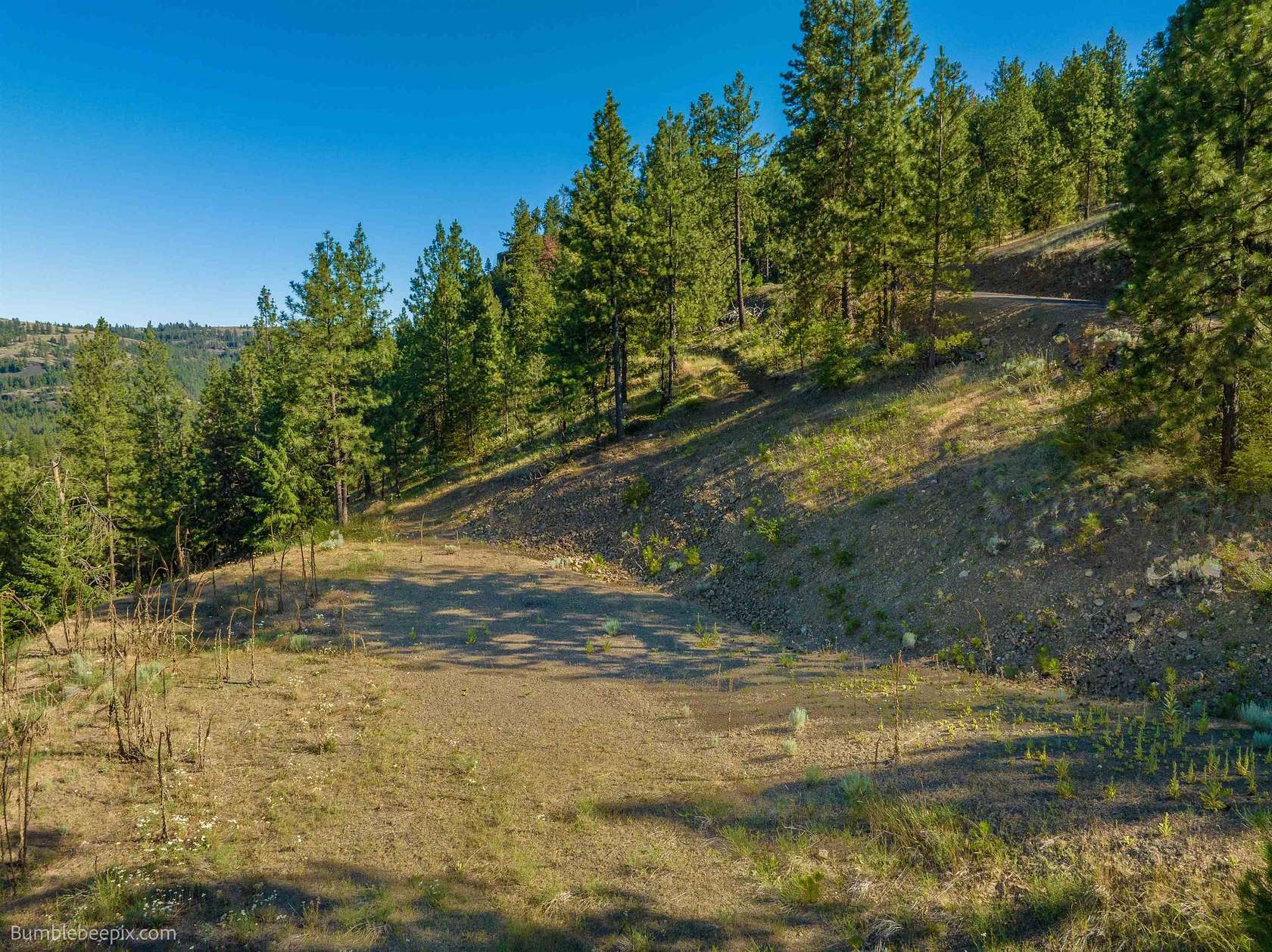 11.87 Acres of Land for Sale in Davenport, Washington