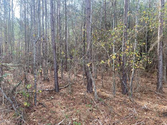8 Acres of Residential Land for Sale in Dearing, Georgia