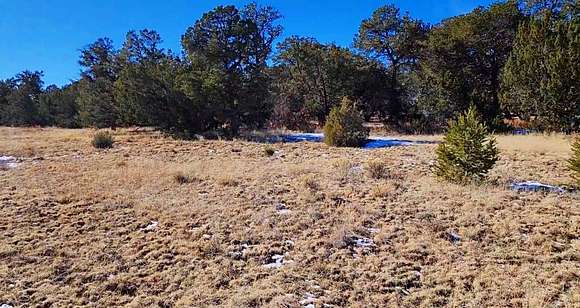 8.3 Acres of Land for Sale in Pinehill, New Mexico
