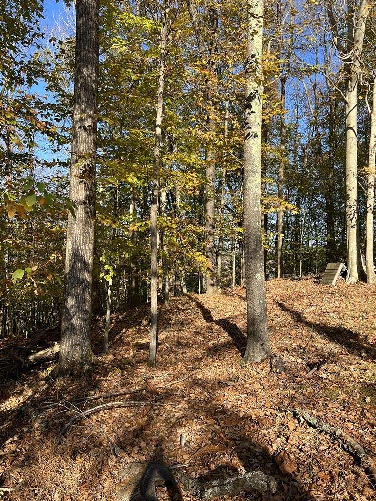 4 Acres of Residential Land for Sale in Monterey, Tennessee