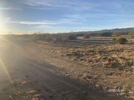 20 Acres of Land for Sale in Red Mountain, California