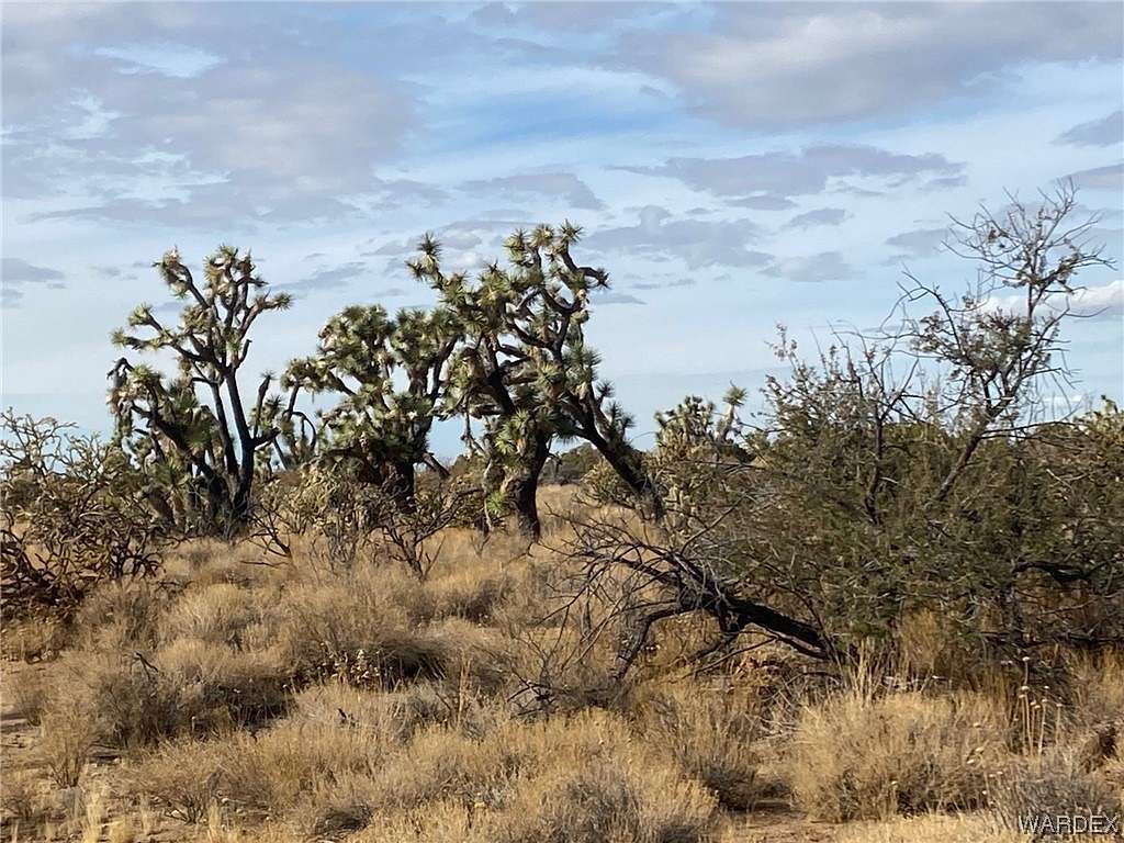 38.9 Acres of Recreational Land & Farm for Sale in Yucca, Arizona