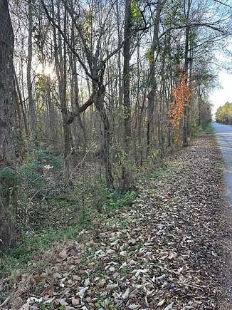 13.1 Acres of Land for Sale in Manning, South Carolina