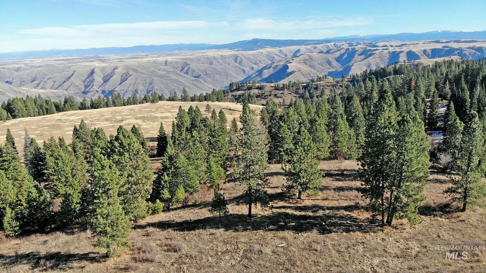 920 Acres of Recreational Land & Farm for Sale in Cottonwood, Idaho