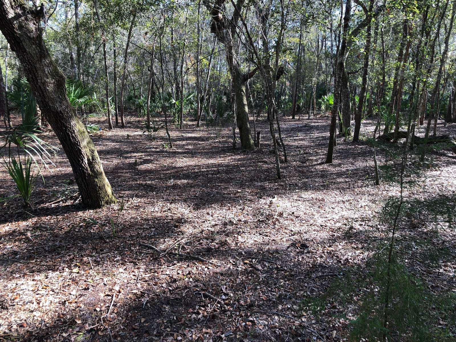 0.4 Acres of Land for Sale in Old Town, Florida