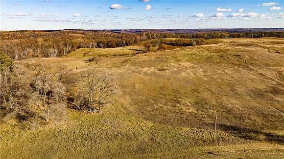 160 Acres of Agricultural Land for Sale in May Township, Minnesota