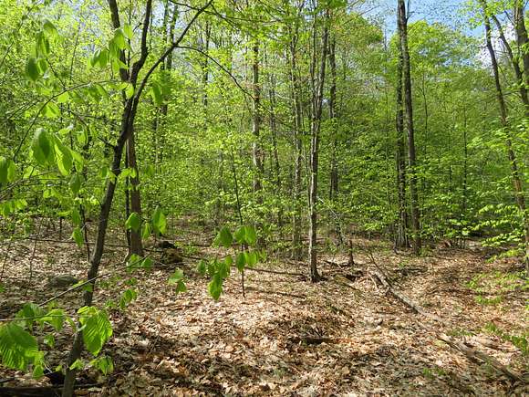 137 Acres of Recreational Land for Sale in Mayfield, New York