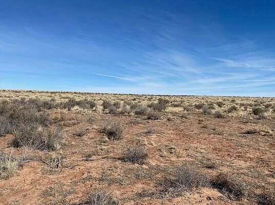 Land For Sale In Sun Valley Nv