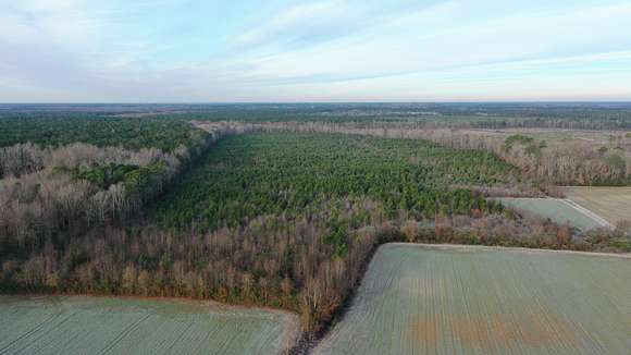 268 Acres of Land for Sale in Harrellsville, North Carolina