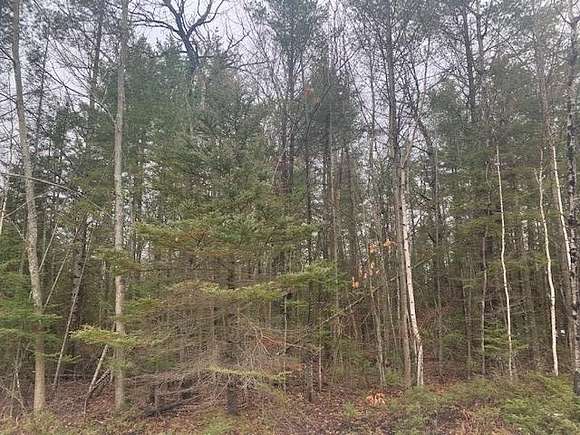 Residential Land for Sale in Presque Isle, Michigan