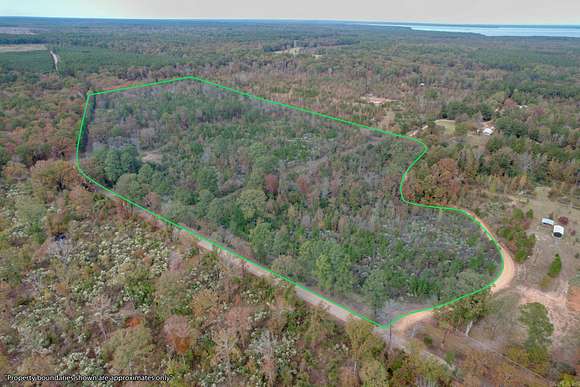 26 Acres of Recreational Land for Sale in Ashdown, Arkansas