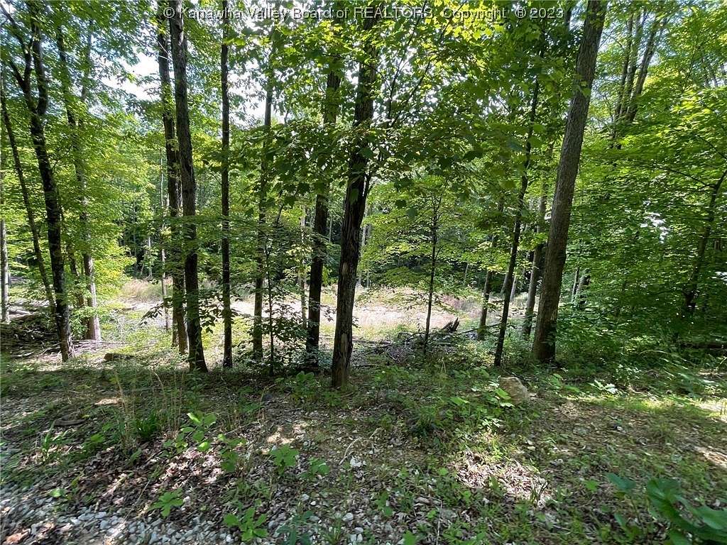 22.52 Acres of Land with Home for Sale in Wallback, West Virginia