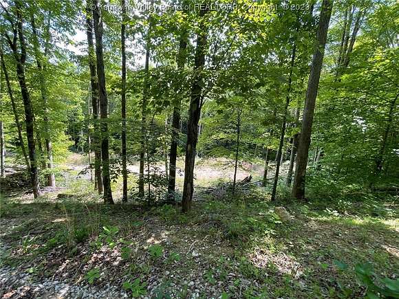 22.52 Acres of Land with Home for Sale in Wallback, West Virginia