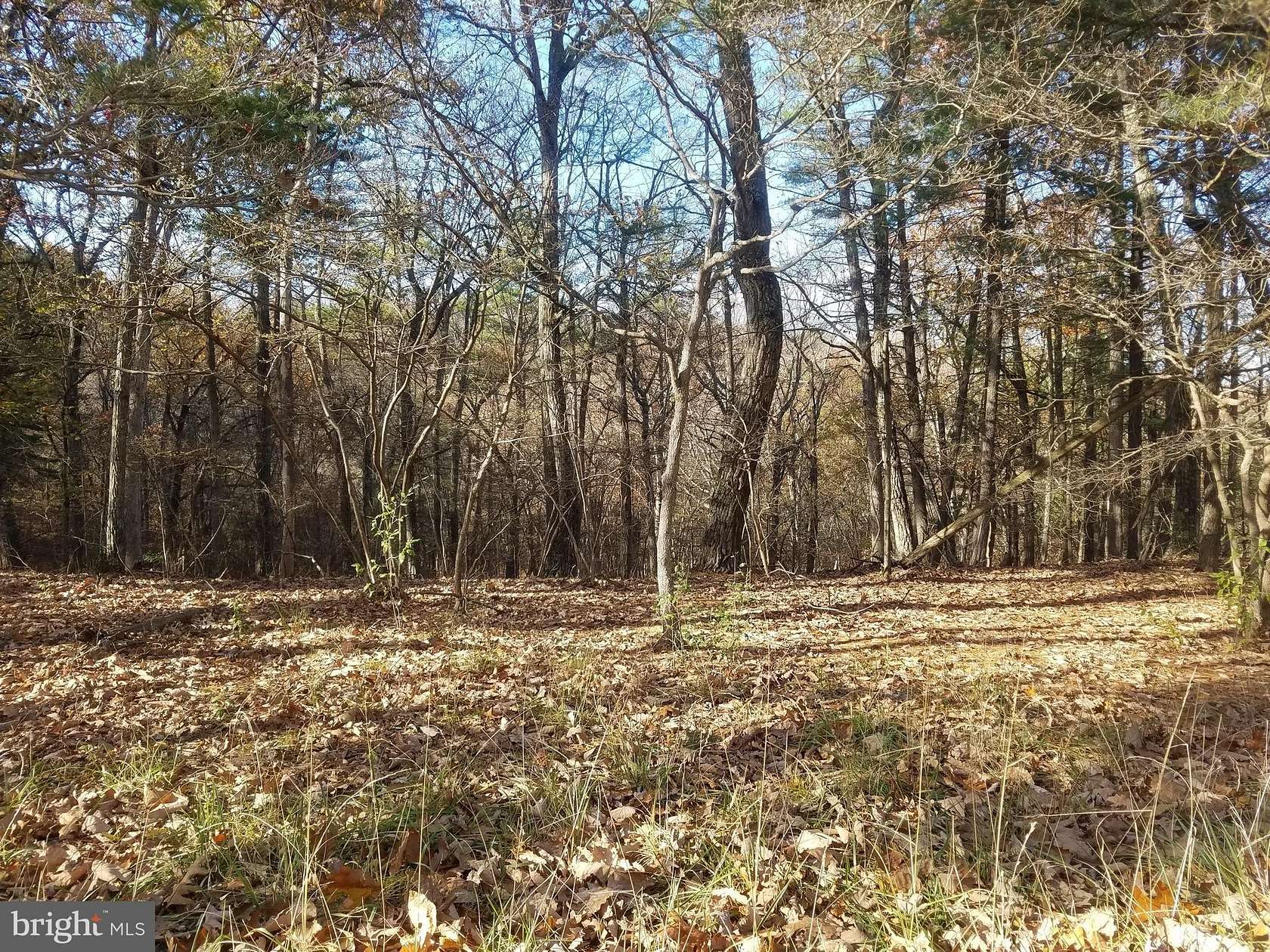 4.6 Acres of Residential Land for Sale in Romney, West Virginia