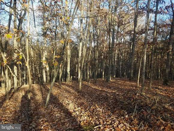 7.8 Acres of Land for Sale in Romney, West Virginia