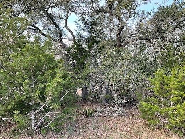 0.2 Acres of Residential Land for Sale in Blanco, Texas