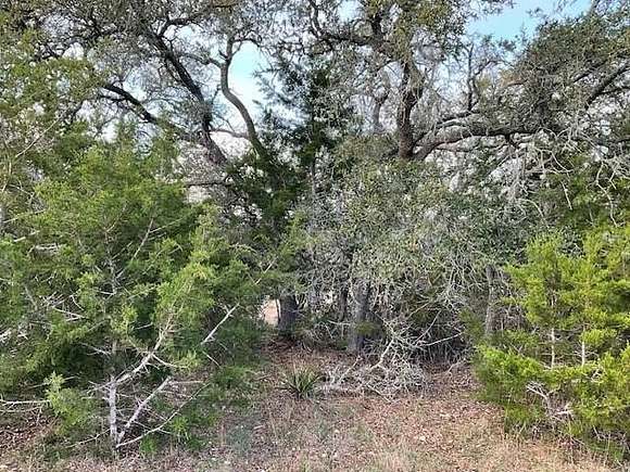 0.2 Acres of Residential Land for Sale in Blanco, Texas