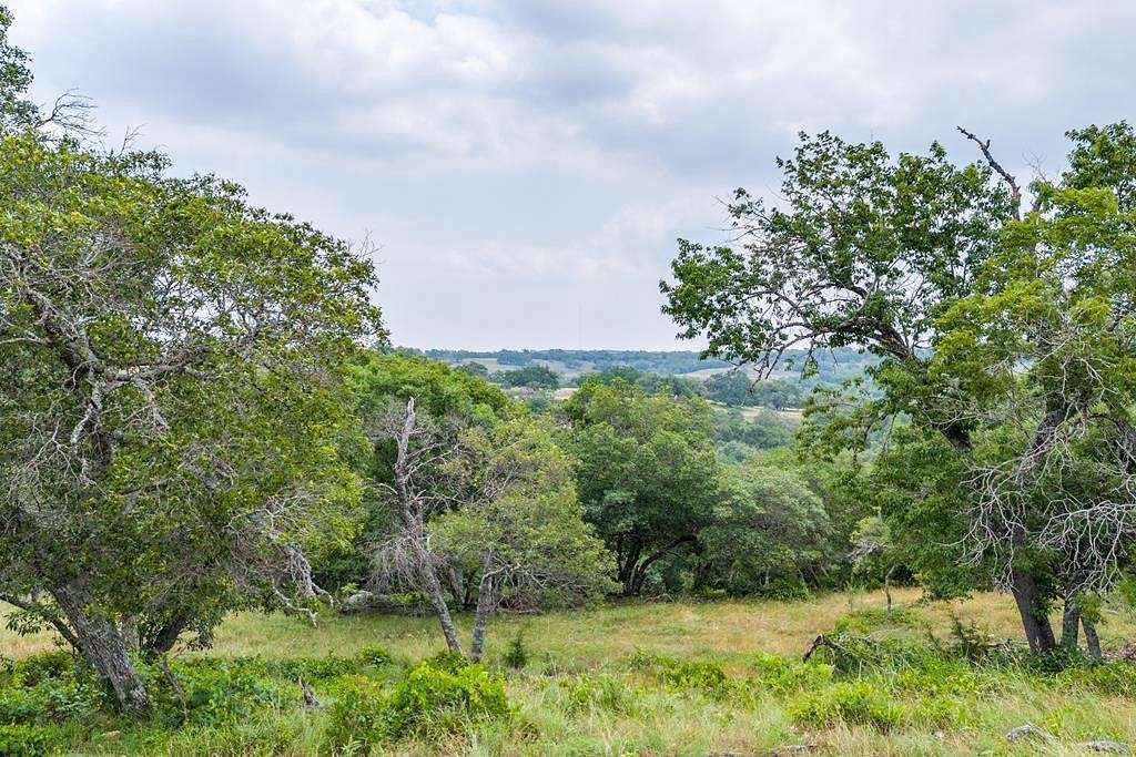 10 Acres of Agricultural Land for Sale in Blanco, Texas