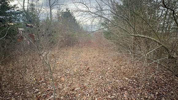 0.53 Acres of Land for Sale in Burkesville, Kentucky