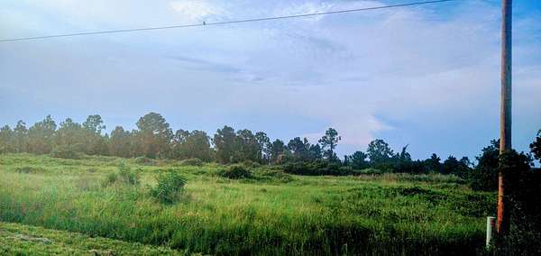 0.32 Acres of Residential Land for Sale in Lehigh Acres, Florida