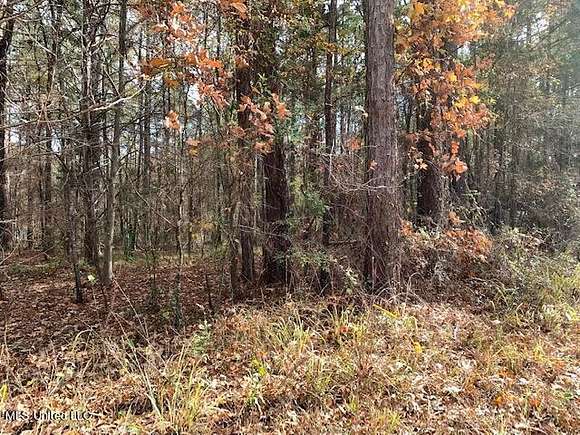 1 Acre of Residential Land for Sale in Brandon, Mississippi