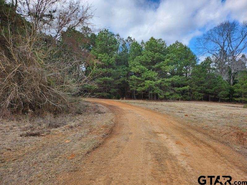 3.3 Acres of Residential Land for Sale in Winona, Texas