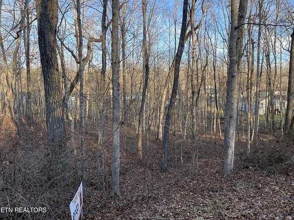 0.24 Acres of Residential Land for Sale in Fairfield Glade, Tennessee